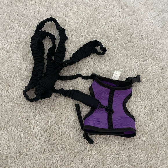 Purple and Black small Harness with Leash - Picture 1 of 5